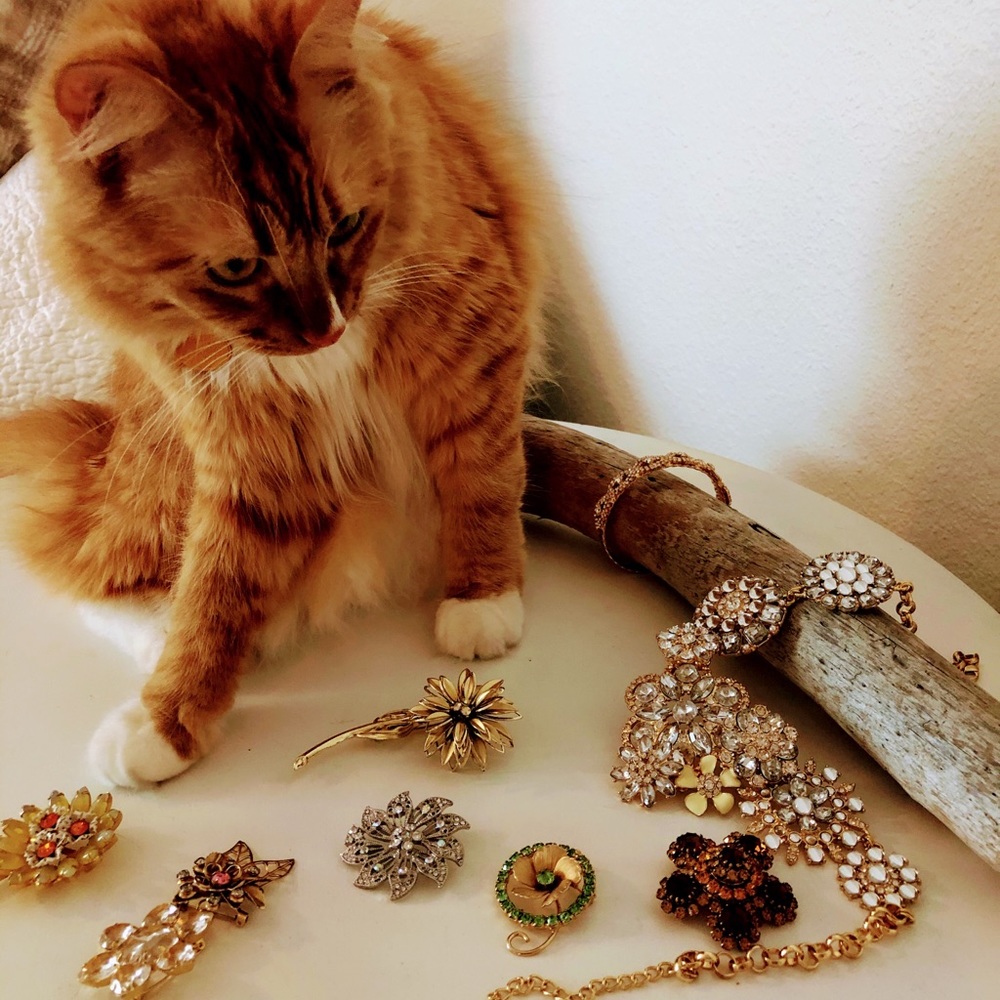 Welcome to Hunted Jewel!